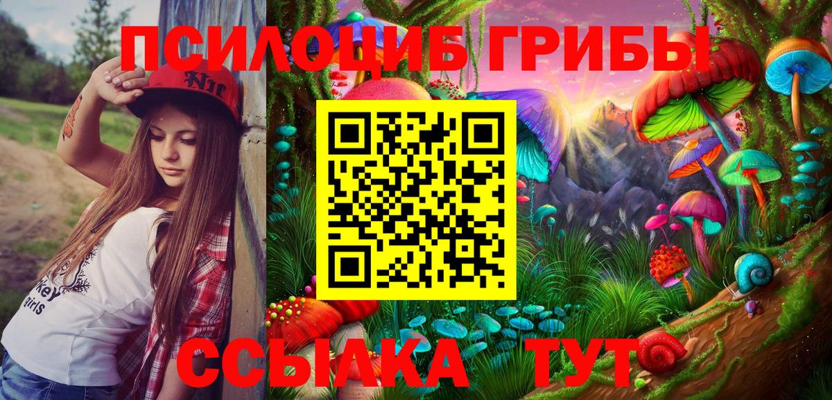 где продают   Вход с VPN  Зима  Псилоцибиновые грибы Psilocybine cubensis 