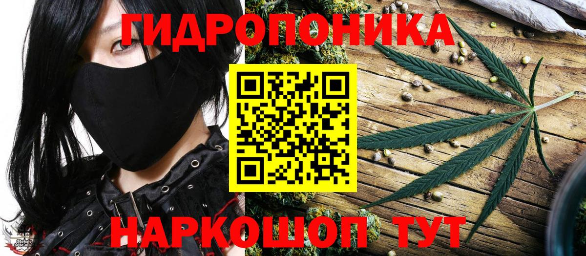 Бошки марихуана SATIVA & INDICA  Бошки Шишки Bruce Banner  Марихуана Amnesia  Зима  Вход с VPN 